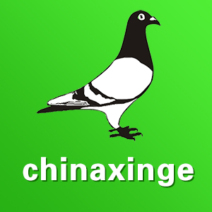 中信网-信鸽信息网