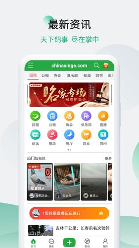 中信网-信鸽信息网软件封面