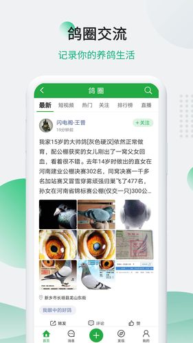 中信网-信鸽信息网软件封面