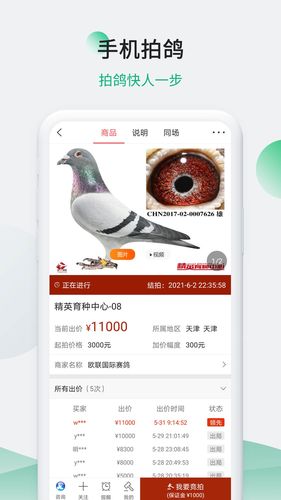 中信网-信鸽信息网软件封面