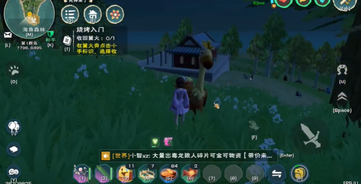 创造与魔法最适合新手的坐骑