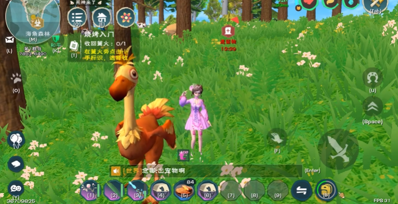 创造与魔法最适合新手的坐骑