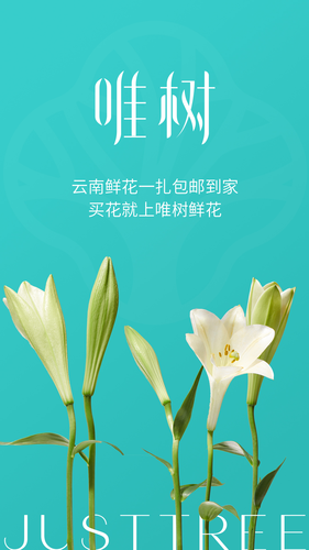 唯树鲜花软件封面