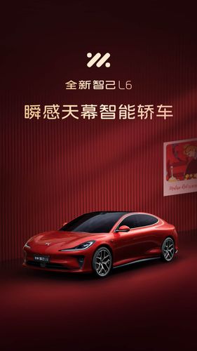 IM 智己软件封面