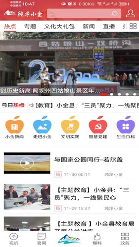 纯净小金软件封面