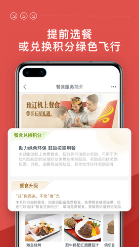 海南航空第4张手机截图