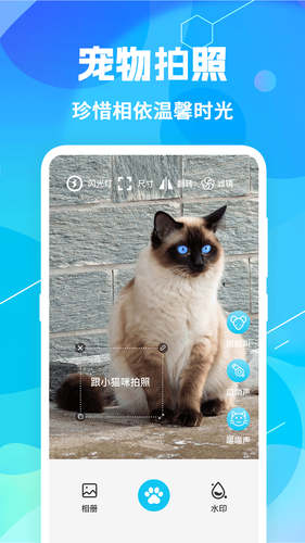 猫语翻译pet第3张手机截图