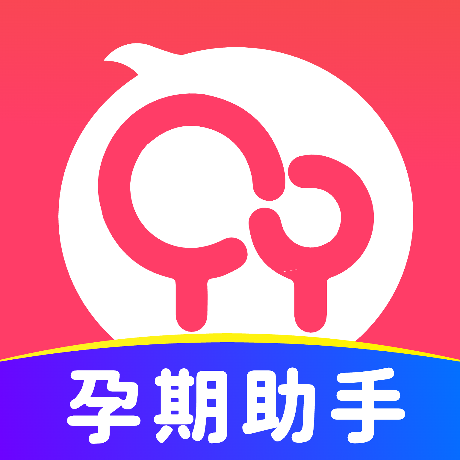 孕期记录指南