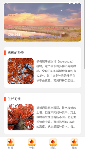 枫叶悦刷软件封面