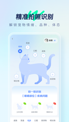 宠智灵软件封面