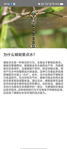 神秘海世界第1张手机截图