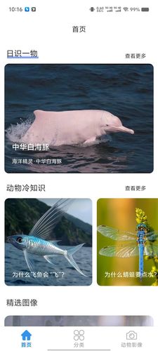 神秘海世界第2张手机截图