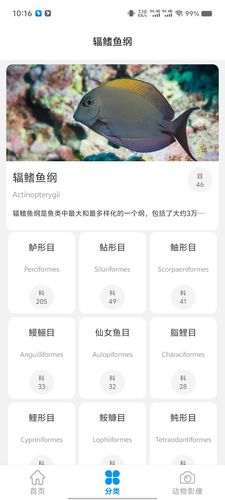 神秘海世界第3张手机截图