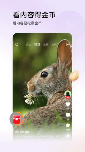 今日头条极速版软件封面