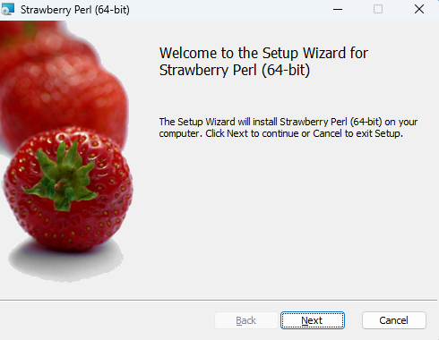 Perl