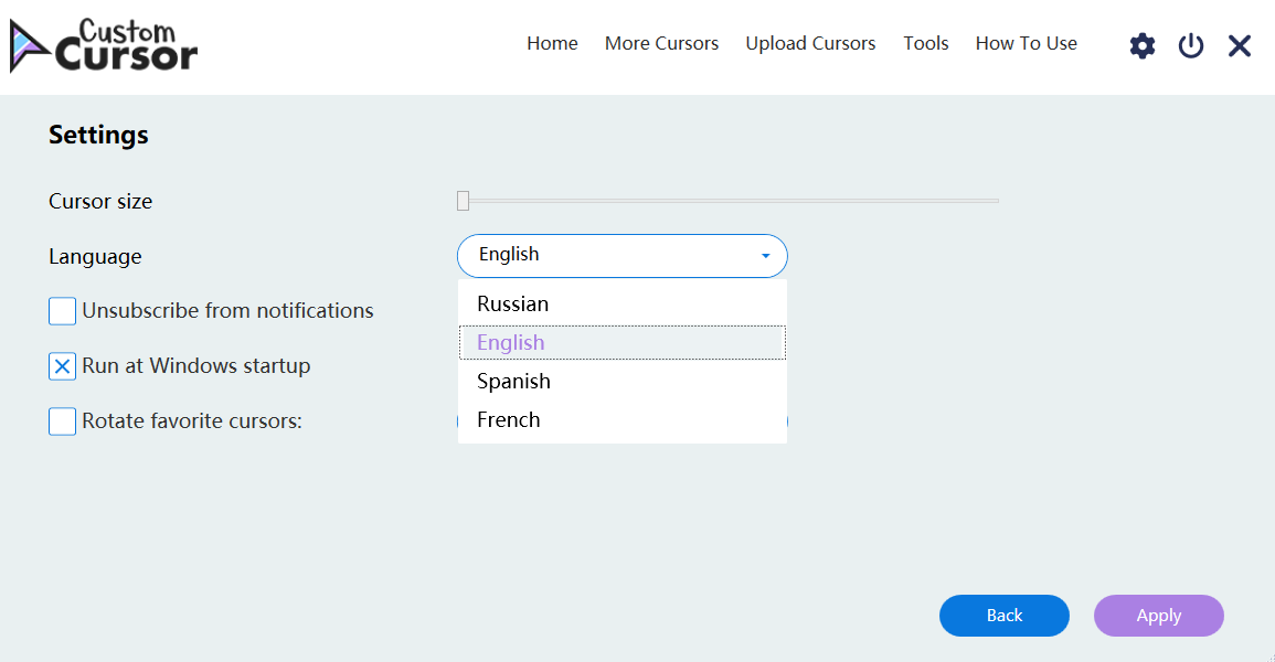 Custom Cursor