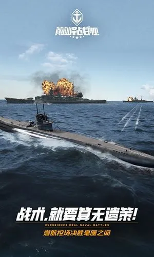 巅峰战舰软件封面