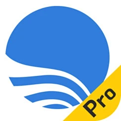 Bigemap Pro
