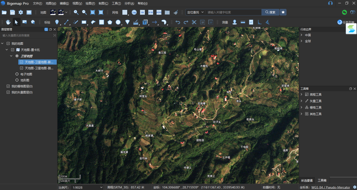 Bigemap Pro