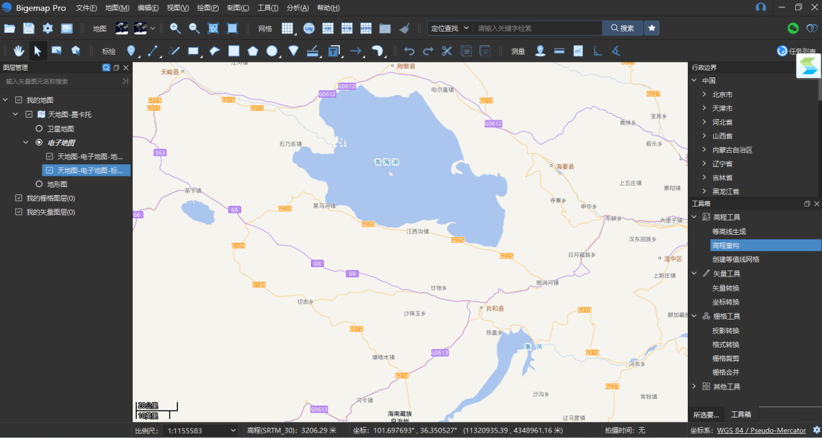 Bigemap Pro