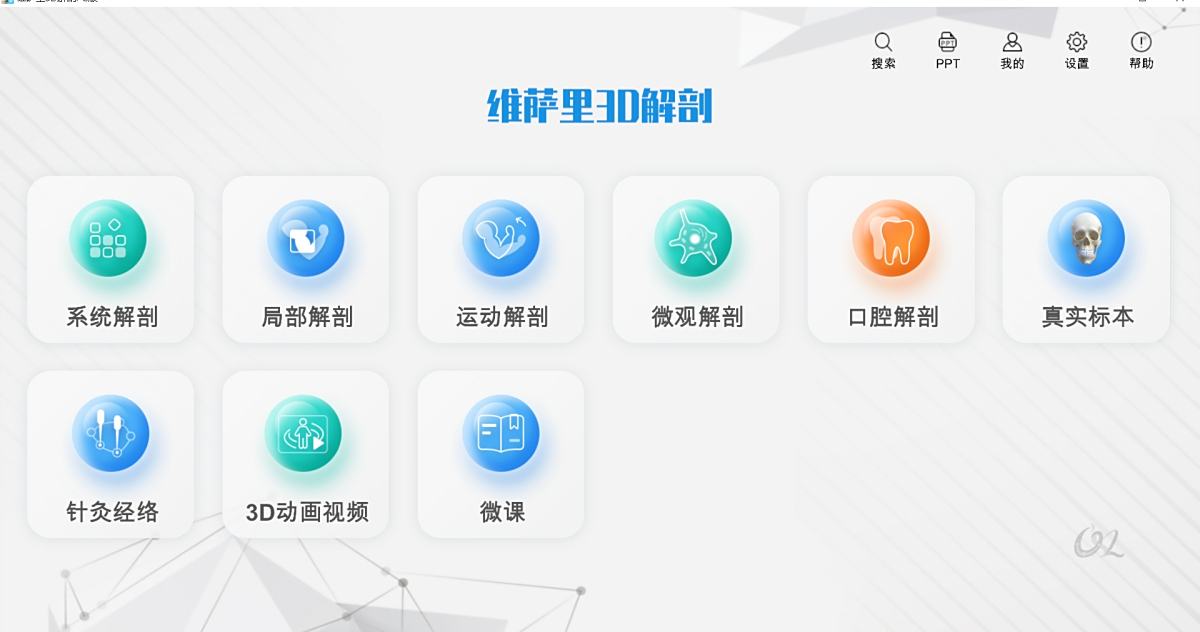 维萨里3D解剖