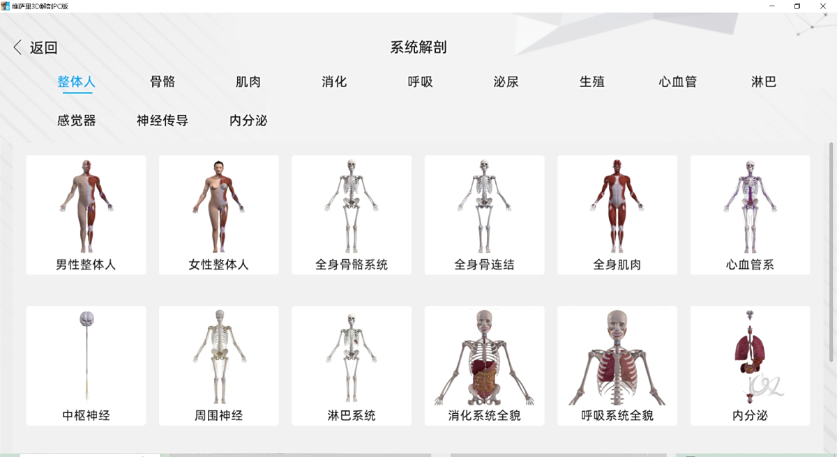 维萨里3D解剖