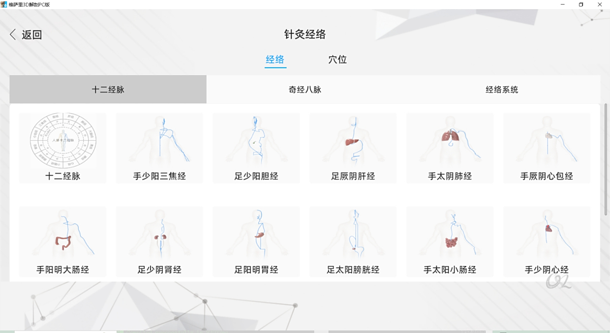维萨里3D解剖